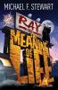 Ray_vs_the_meaning_of_life