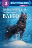 The_bravest_dog_ever____the_true_story_of_Balto