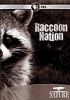 Raccoon_nation
