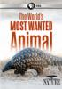 The_world_s_most_wanted_animal