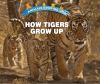 How_tigers_grow_up