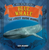 Blue_Whale__The_Largest_Marine_Mammal
