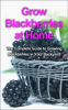 Grow_Blackberries_at_Home
