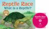 Reptile_Race