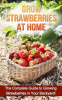 Grow_Strawberries_at_Home