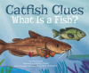 Catfish_Clues